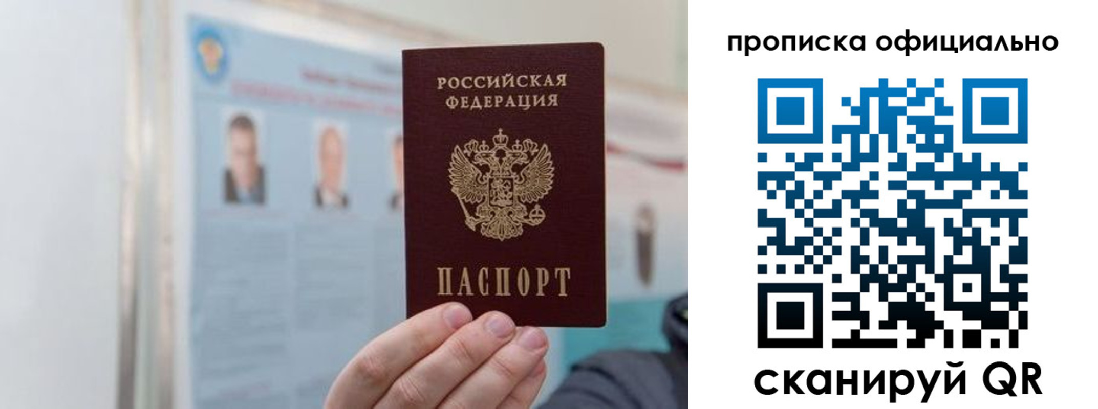 прописка гарантия в Кандалакше