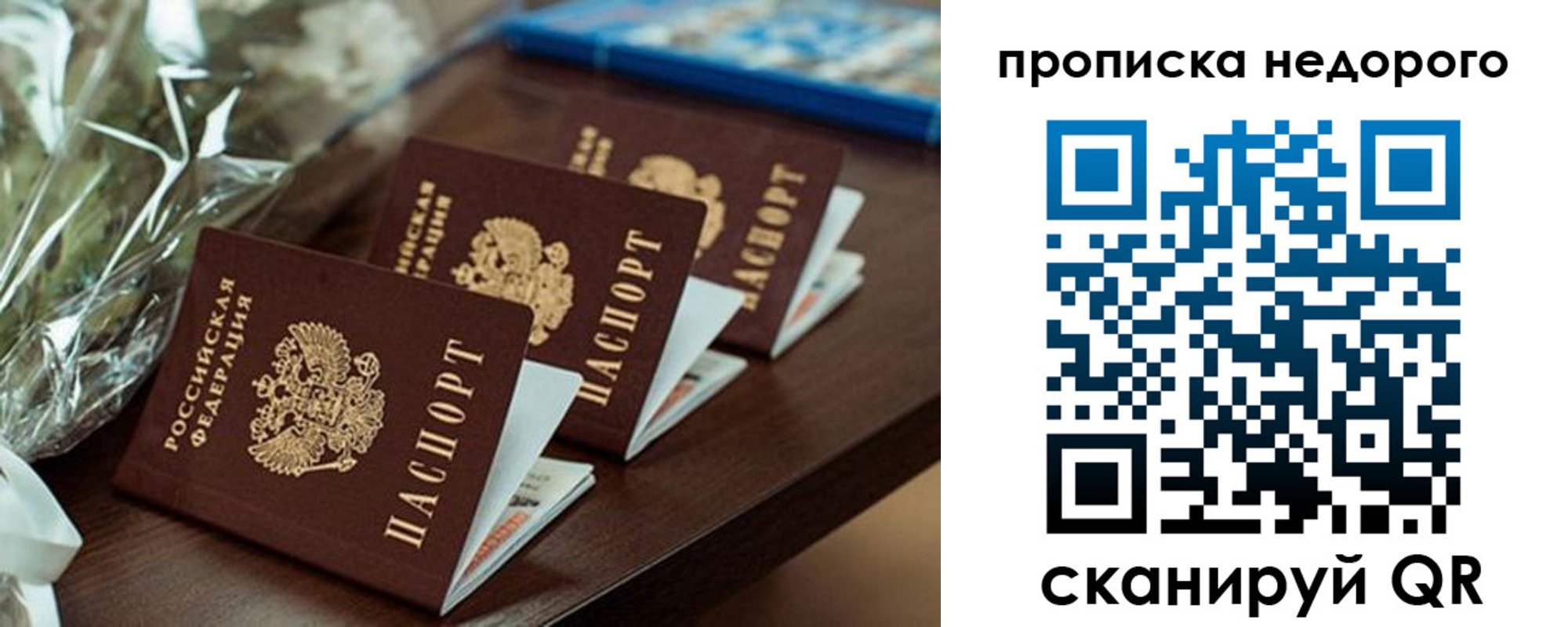 купить прописку в Кандалакше